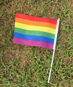 50 pcs Geminbowl Rainbow flag Hand Waving Gay Pride LGBT parade Les Bunting 14x21cm Geminbowl Brand 8780550e 095f 45be 8f62 b0eb52765d27 - Omnisexual Flag™