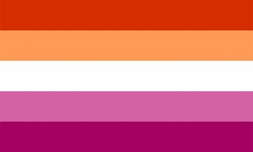 IMG 3333 - Omnisexual Flag™