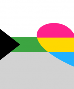 3x5 ft (90x150 cm) / Demi BG S Official PAN FLAG Merch