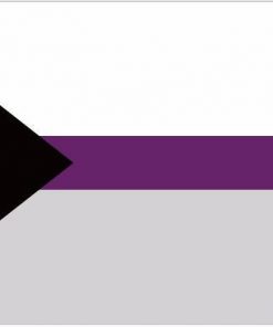 Proposed Separate Demisexual Flag 30 45cm For Car Flag 90 150cm 60 90cm 15 21cm For - Omnisexual Flag™