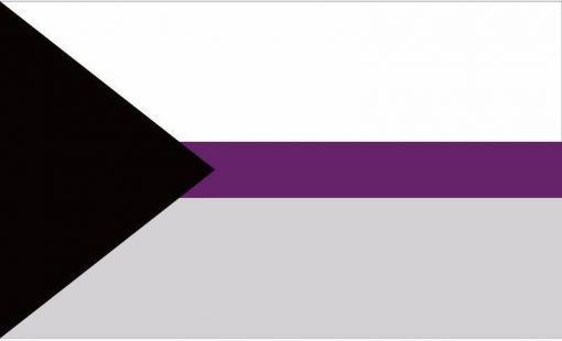 Proposed Separate Demisexual Flag 30 45cm For Car Flag 90 150cm 60 90cm 15 21cm For - Omnisexual Flag™