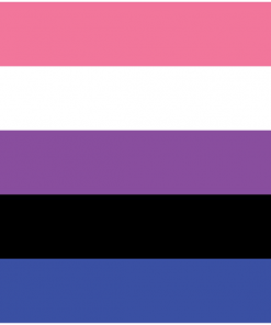 Screen 20Shot 202017 09 02 20at 202.28.28 20PM - Omnisexual Flag™