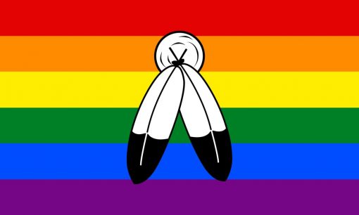 Twospirit flag - Omnisexual Flag™