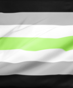 ar0man - Omnisexual Flag™