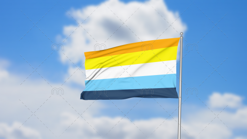 aro1 - Omnisexual Flag™