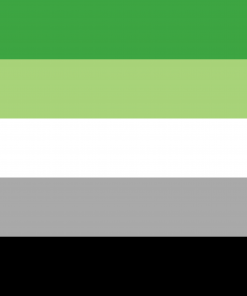aromantic 1 by pride flags d8zu7h4 - Omnisexual Flag™