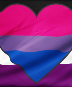 asexbisex - Omnisexual Flag™