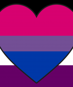 asexual biromantic combo flag by pride flags da00qy7 - Omnisexual Flag™