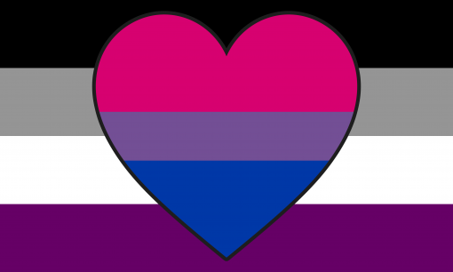 asexual biromantic combo flag by pride flags da00qy7 - Omnisexual Flag™
