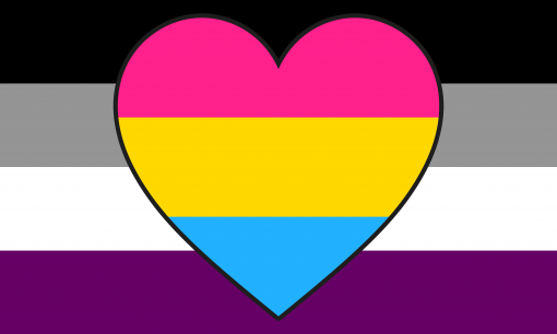 asexual panromantic combo flag by pride flags da00qu5 20 1 - Omnisexual Flag™