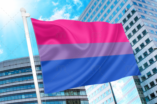 bi11 - Omnisexual Flag™