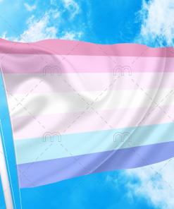 bigend - Omnisexual Flag™
