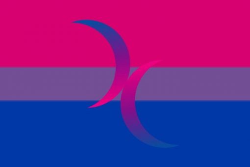bimoons - Omnisexual Flag™