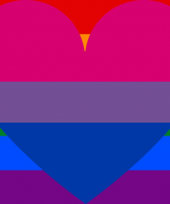 biromantic homosexual - Omnisexual Flag™