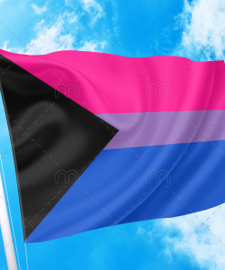 demibi - Omnisexual Flag™