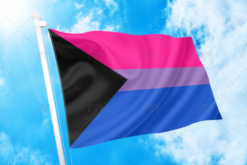 demibi - Omnisexual Flag™