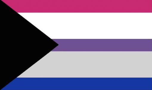 - Omnisexual Flag™