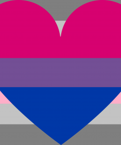 demigirl bisexual combo by pride flags dbc6jgi - Omnisexual Flag™