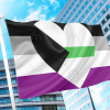 Demiromantic Asexual Pride Flag PN0112 2x3 ft (60x90 cm) / Horizontal Official PAN FLAG Merch
