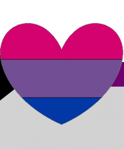 demisexual biromantic - Omnisexual Flag™
