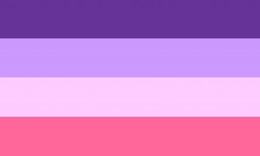 femmelesbian1 scaled - Omnisexual Flag™