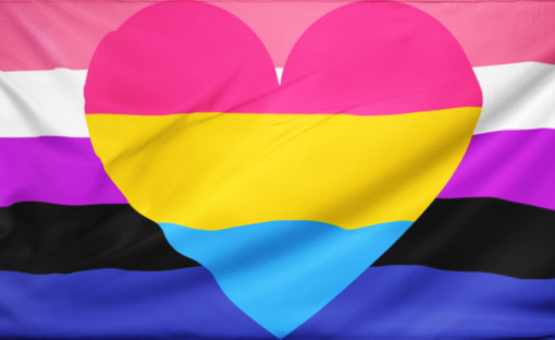 genderpanflag - Omnisexual Flag™