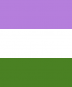 genqueer - Omnisexual Flag™