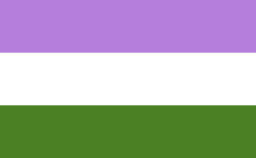 genqueer - Omnisexual Flag™
