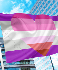 Gray Asexual Lesbian Combo Pride Flag PN0112 2x3 ft (60x90 cm) Official PAN FLAG Merch