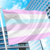 Intersex Pride Flag PN0112 2x3 ft (60x90cm) / 2 Grommets left Official PAN FLAG Merch
