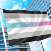 Librafluid Pride Flag PN0112 2x3 ft(60x90 cm) / Neutral Official PAN FLAG Merch