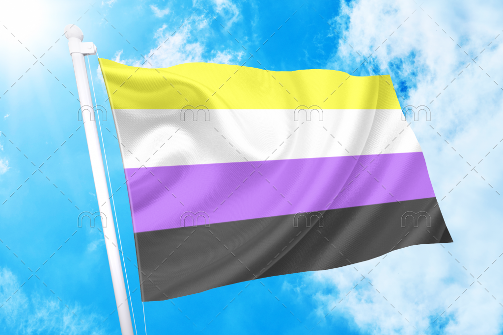 Non Binary Pride Flag Flagship Pn2101 Omnisexual Flag™ 