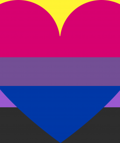 nonbinary bisexual combo by pride flags dbc6gc8 - Omnisexual Flag™
