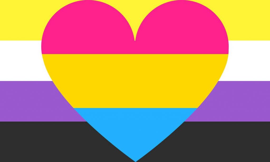 Non Binary Pansexual Flag Flagship Pn2101 Omnisexual Flag™