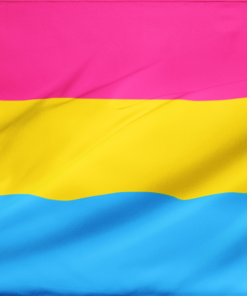 panflag - Omnisexual Flag™