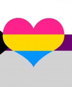 panromantic demisexual1 - Omnisexual Flag™