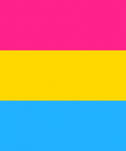 pansexual1 - Omnisexual Flag™