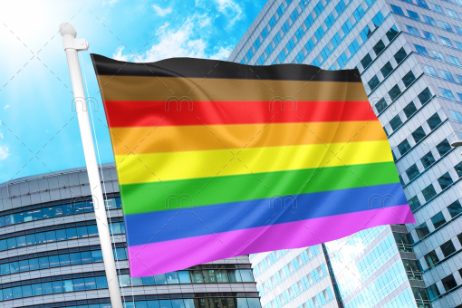 philll - Omnisexual Flag™