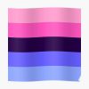 Omnisexual Flag Poster RB1901 product Offical Omnisexual Flag Merch