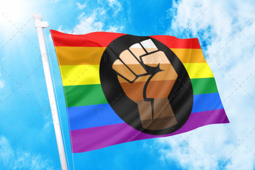 pridefis - Omnisexual Flag™