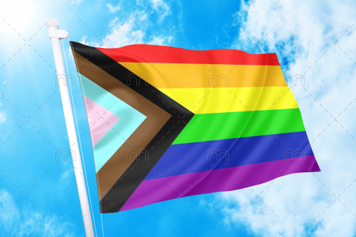 prog 1 - Omnisexual Flag™
