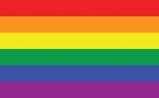 rainbow2 - Omnisexual Flag™