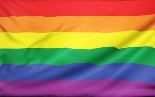 rainbowflag - Omnisexual Flag™