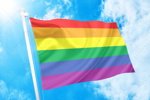 rainboww - Omnisexual Flag™