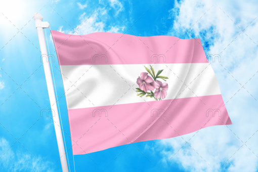 sapphic11 - Omnisexual Flag™