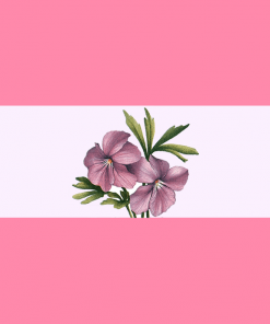 sapphic 1 by pride flags dau8x7l - Omnisexual Flag™