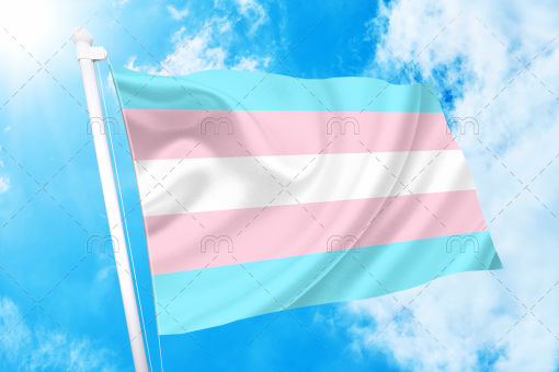 tran - Omnisexual Flag™