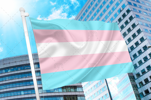 trans1 - Omnisexual Flag™