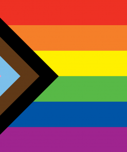 venus - Omnisexual Flag™